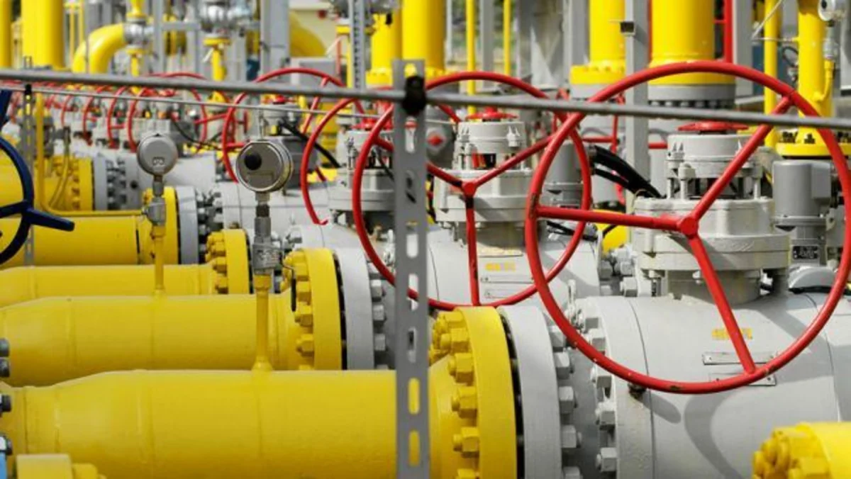 Niger bans exports of liquefied petroleum gas