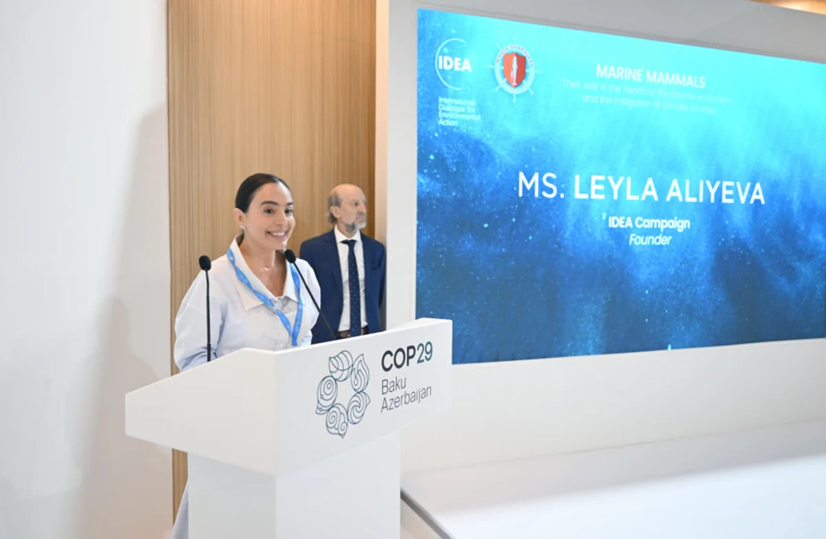 Leyla Aliyeva participates in panel discussions on marine mammals as part of COP29