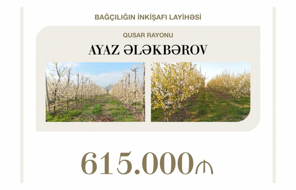 Concessional loan of over $360,000 allocated to development of horticulture in Gusar
