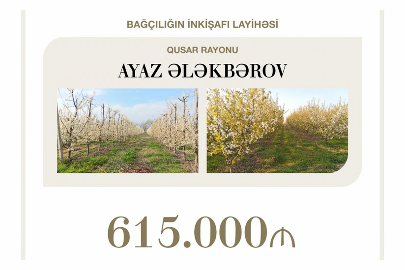 Concessional loan of over $360,000 allocated to development of horticulture in Gusar