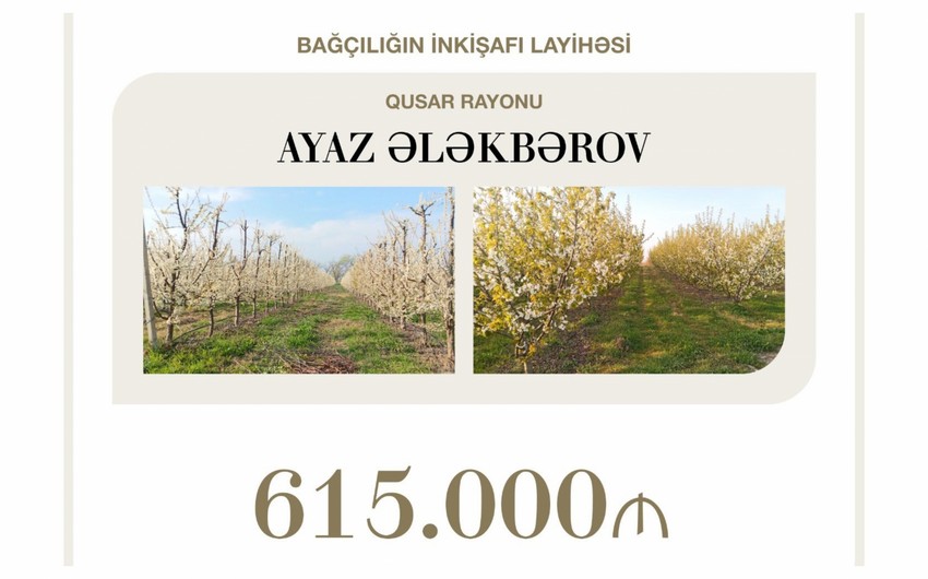 Concessional loan of over $360,000 allocated to development of horticulture in Gusar