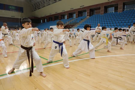 Karate üzrə ümumrespublika seminarı keçirilib