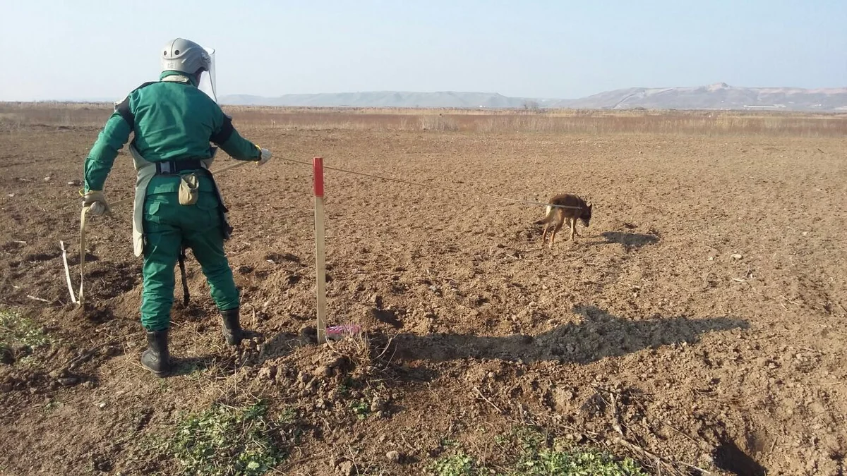 Cocuq Mərcanlıda gün ərzində 5.70 ha ərazi tam təmizlənib