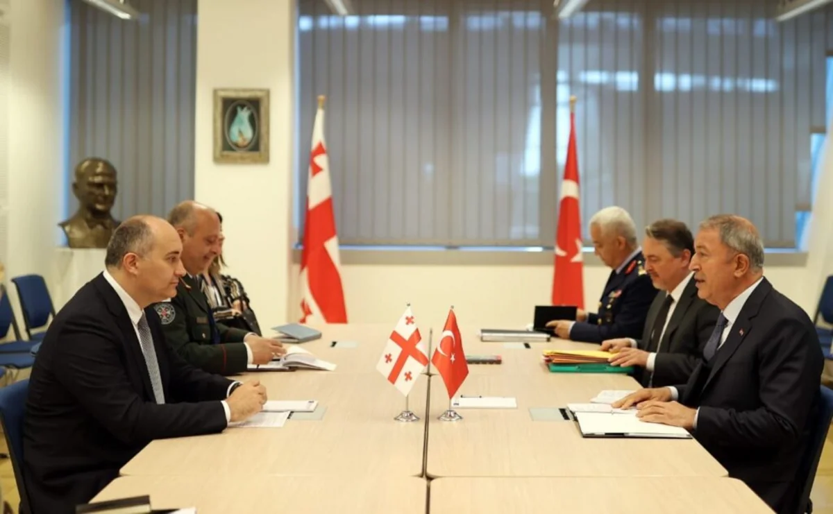 Georgian and Turkish defence ministers mull security issues 