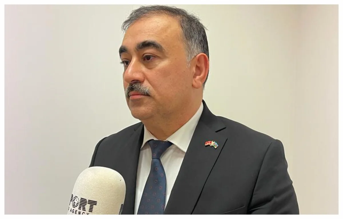 Envoy: Important to clarify information about missing citizens at embassy in Turkiye