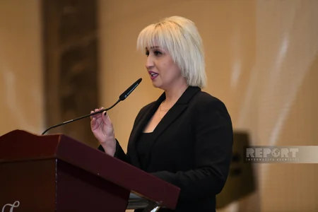 Azərbaycan auditorları, maliyyəçiləri və qiymətləndiriciləri Prezidentə dəstək bəyanatı qəbul ediblər
