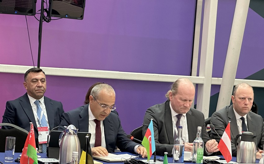 Mikayil Jabbarov: Azerbaijan is committed to developing green transition