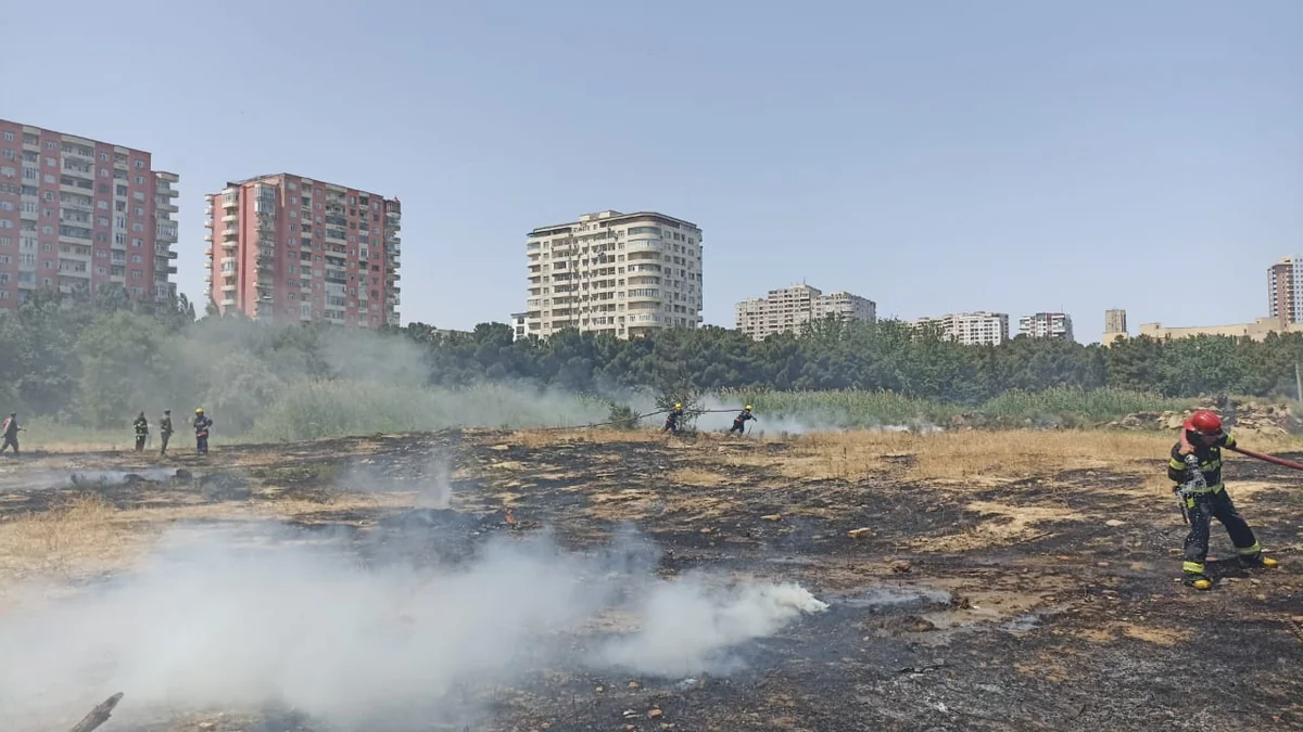 Bakıda parkda qəsdən yanğın törədilib, saxlanılan var