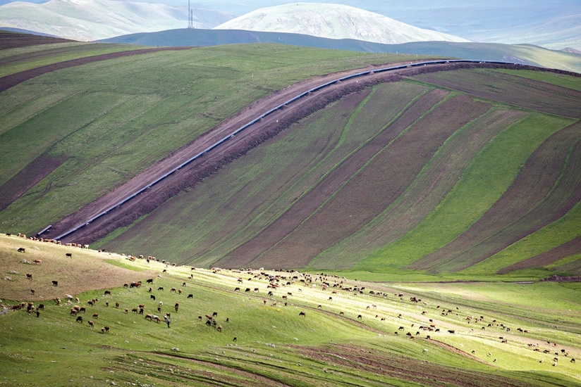Сегодня состоится церемония открытия TANAP
