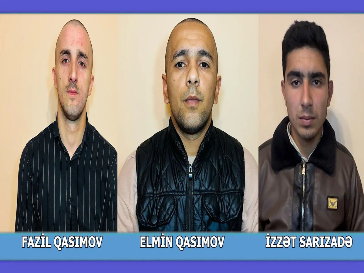 İcarəyə götürdükləri avtomobillə qoyun oğurlayan şəxslər saxlanılıb - VİDEO