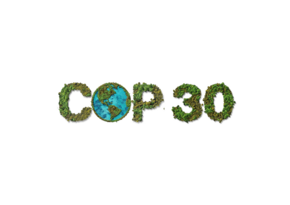 Председательство COP30: Бразилия создала Круг министров финансов для решения климатических проблем