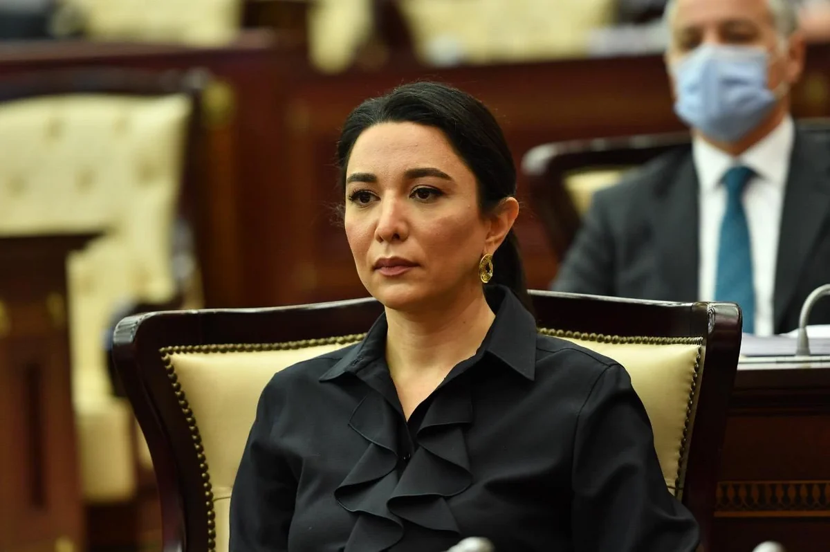 Azərbaycanın Ombudsmanı Quranın yandırılması ilə bağlı isveçli həmkarına məktub ünvanlayıb
