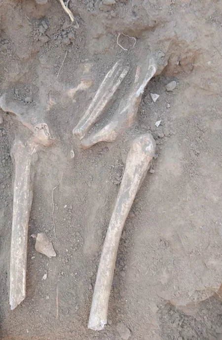 Human remains found in Khojaly