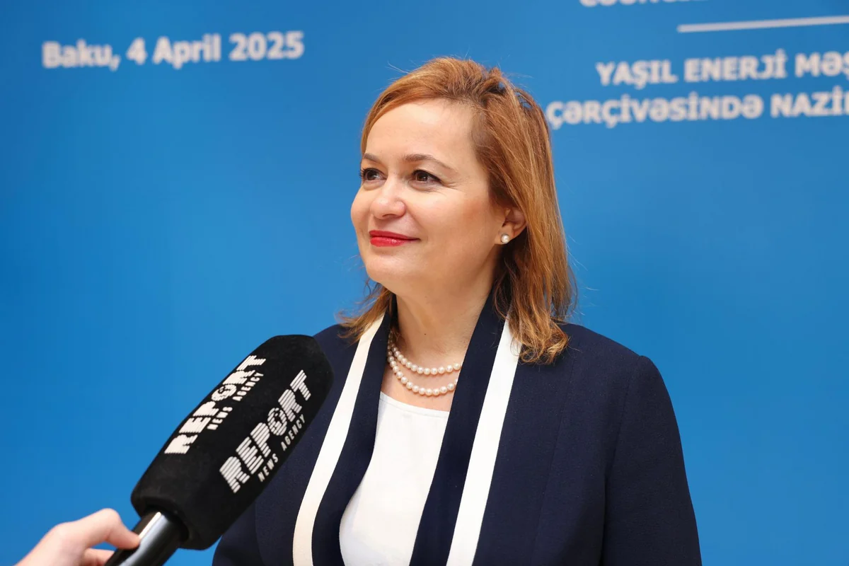 Teodora Georgieva: EU policy contradictions make IGB expansion difficult - INTERVIEW