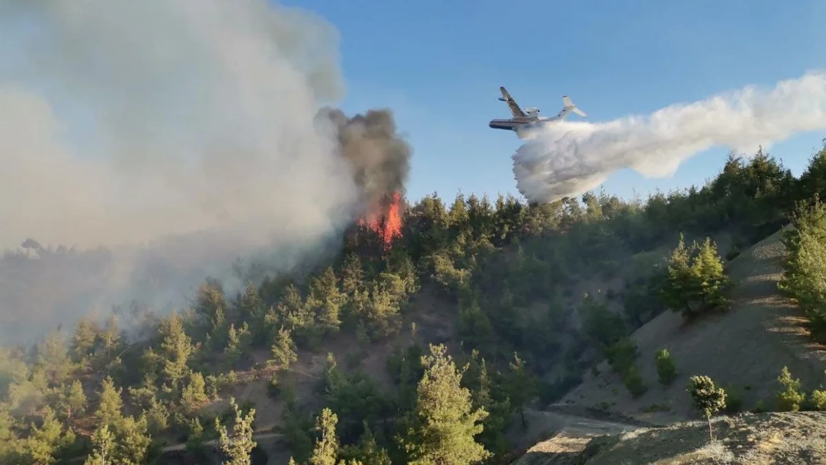 Wildfire in Zagatala prevented from spreading to larger areas