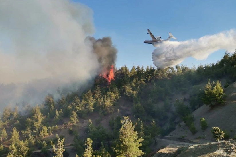 Wildfire in Zagatala prevented from spreading to larger areas