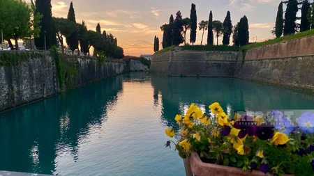 Lessons of Italian: wine rivers and olive banks...