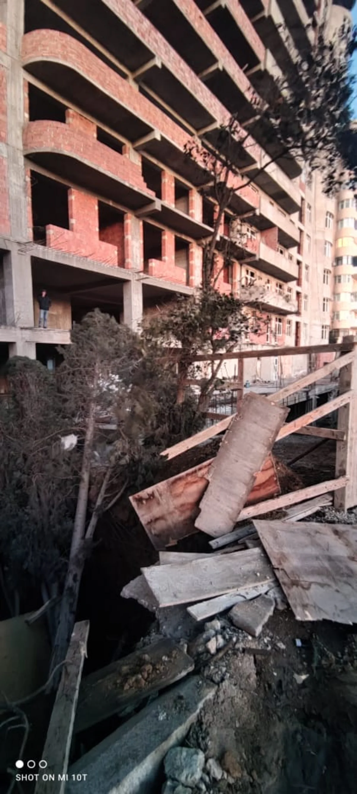 ETSN: Ağacların aşması ilə bağlı araşdırma aparılır
