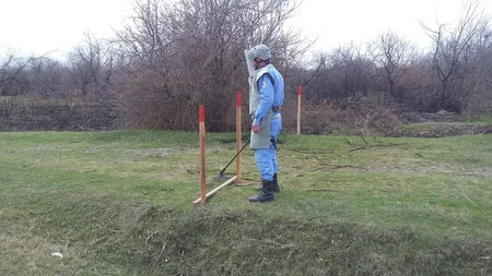 Cocuq Mərcanlıda 1 402 ədəd qəlpə aşkarlanıb