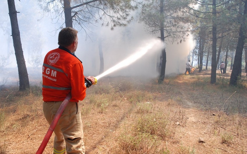 Number of active wildfires in Turkey drops to 5
