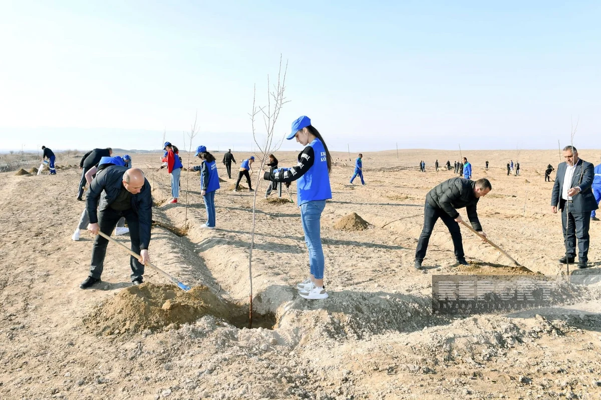 Naxçıvanda Heydər Əliyevin 100 illiyinə həsr olunmuş ağacəkmə aksiyası keçirilib