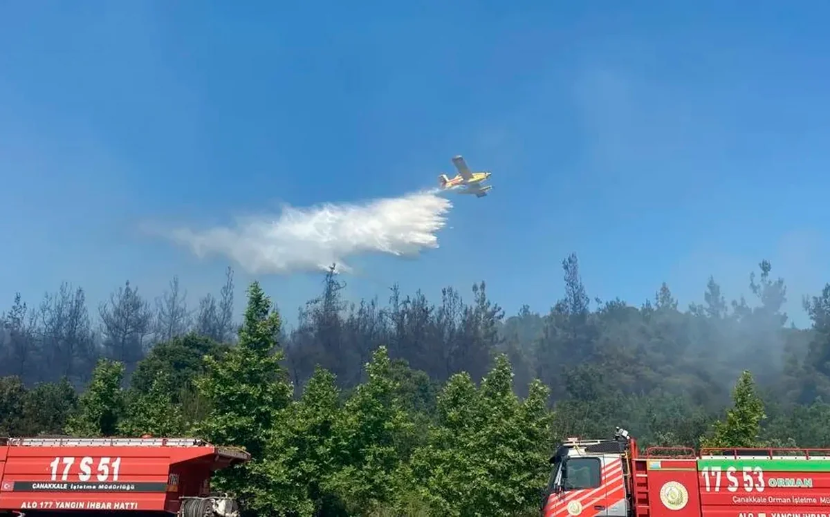 Çanaqqalada meşə yanır