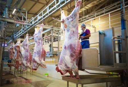 Qurban bayramına görə heyvan kəsimi və satışı məntəqələrində monitorinqlər keçirilir