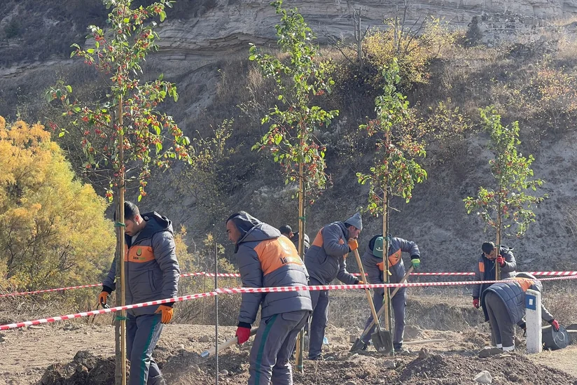 Zəfər Günü Laçında ağacəkmə aksiyası ilə qeyd olunub