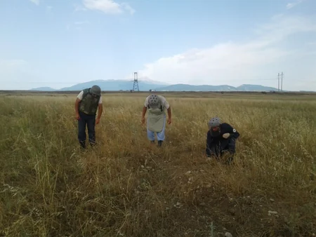 ANAMA Qrad raketinin mühərrik hissələri və top mərmiləri aşkar edib