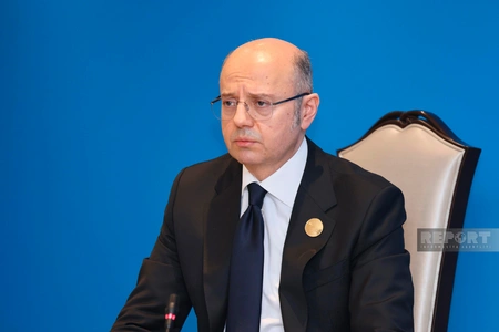 Pərviz Şahbazov: Azərbaycan TAP vasitəsi ilə Avropaya 54 milyard m3-dən çox qaz tədarük edib
