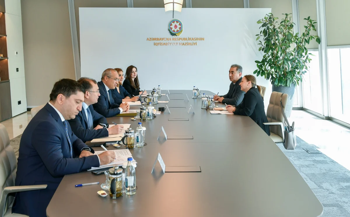 Azerbaijan, UN mull increasing investments in energy efficiency