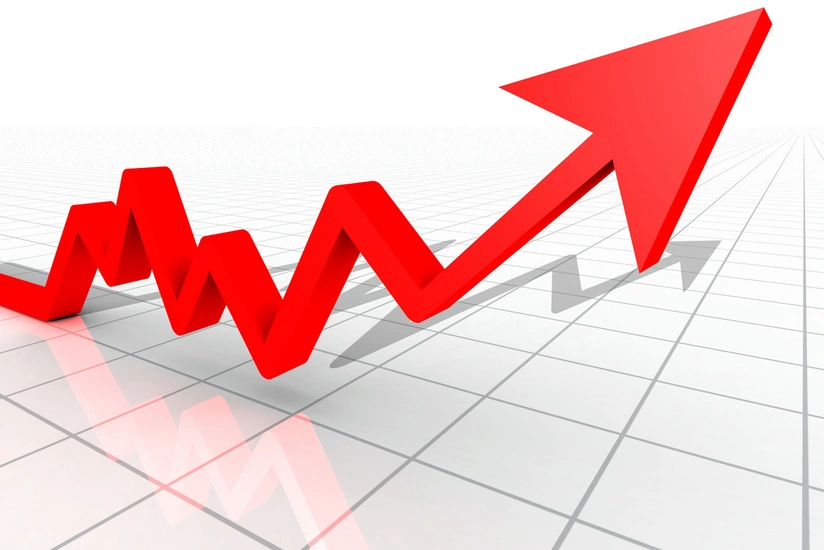 Минфин Турции ожидает инфляцию в 24% на конец 2022 года