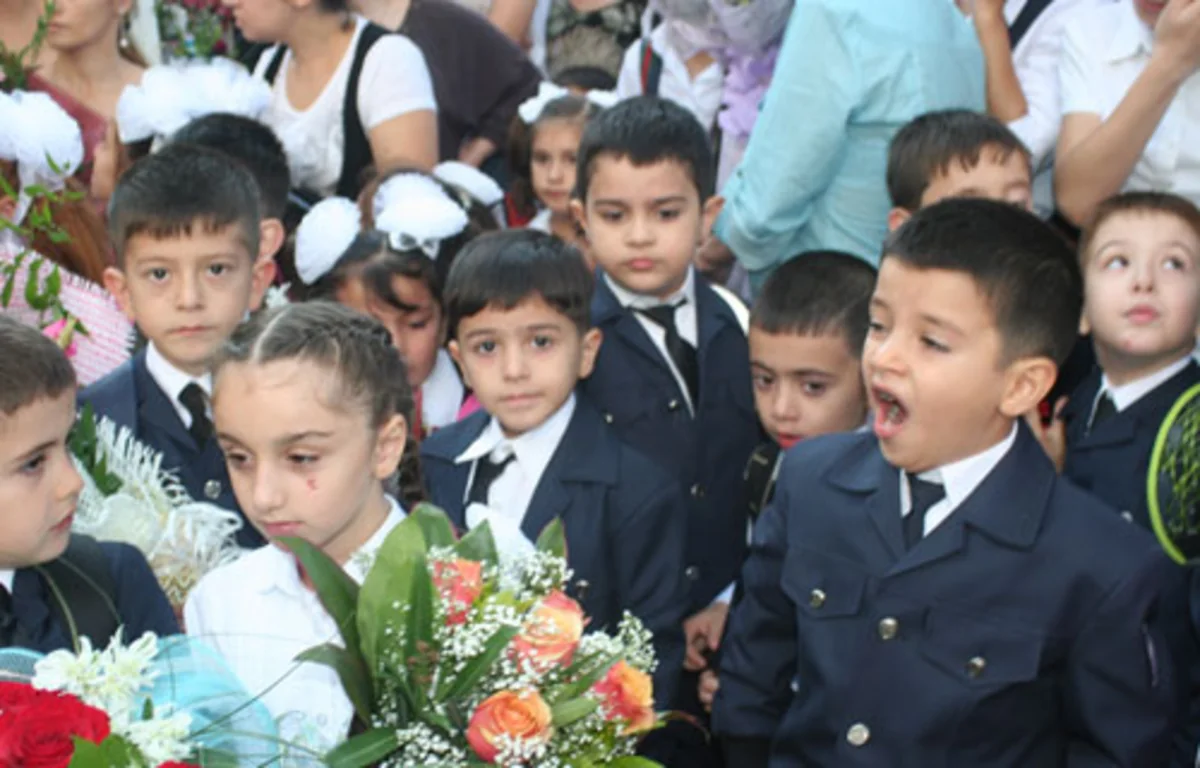 Nazir müavini: Məktəb direktorları tərbiyə məsələsinə diqqət etmirlər