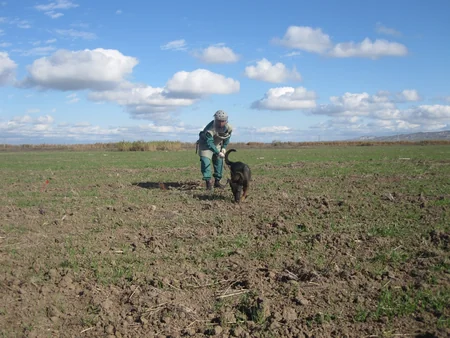 Cocuq Mərcanlıda 3 ədəd PHS aşkar edilib