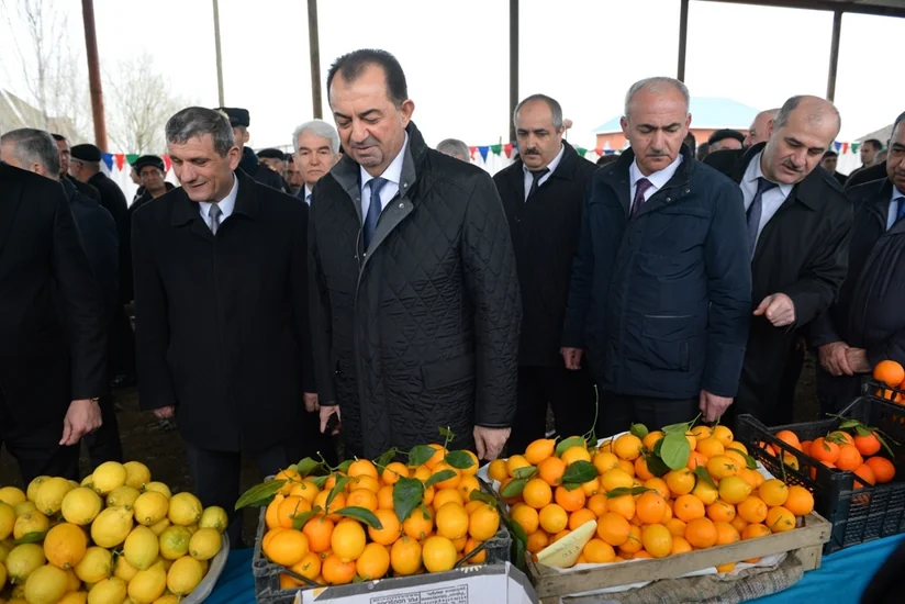 Lənkəranda bayram yarmarkası təşkil olunub