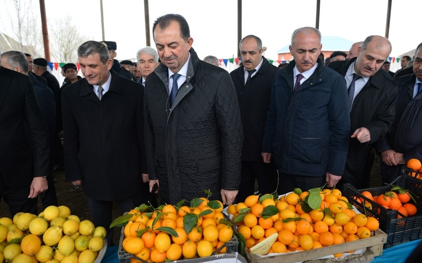 Lənkəranda bayram yarmarkası təşkil olunub
