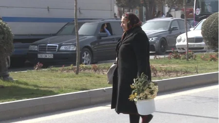 Sumqayıtda sürücü qadınlarla və piyadalarla bağlı qeyri-adi reyd keçirildi - FOTO