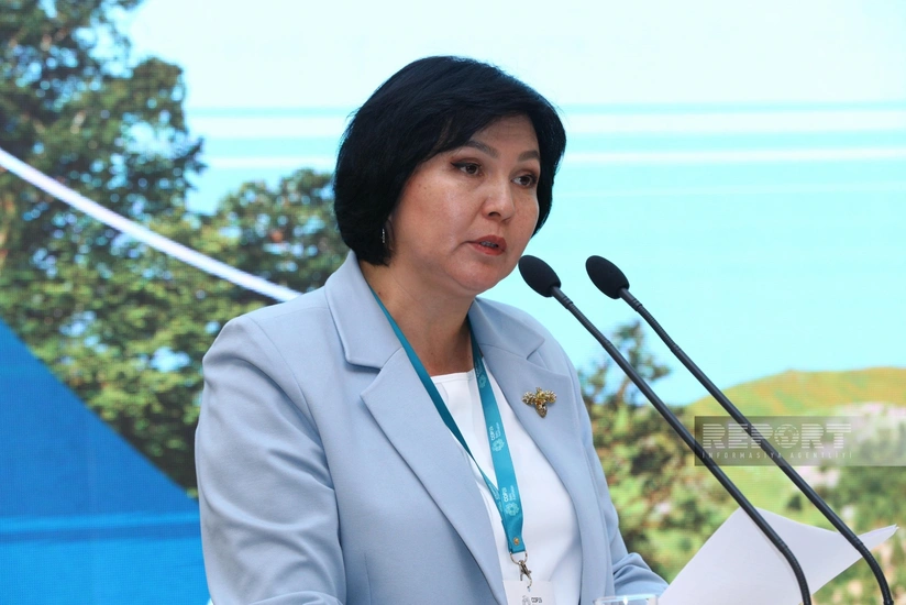 Nazir müavini: Qırğızıstan iqlimə davamlı inkişaf modellərinə keçidi sürətləndirməyə sadiqdir