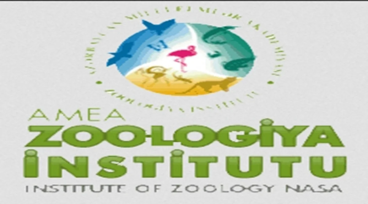Zoologiya İnstitutu: Hazırda yaşayış yerlərində müşahidə olunan ağcaqanadların yaranma səbəbi nəmişlikdir