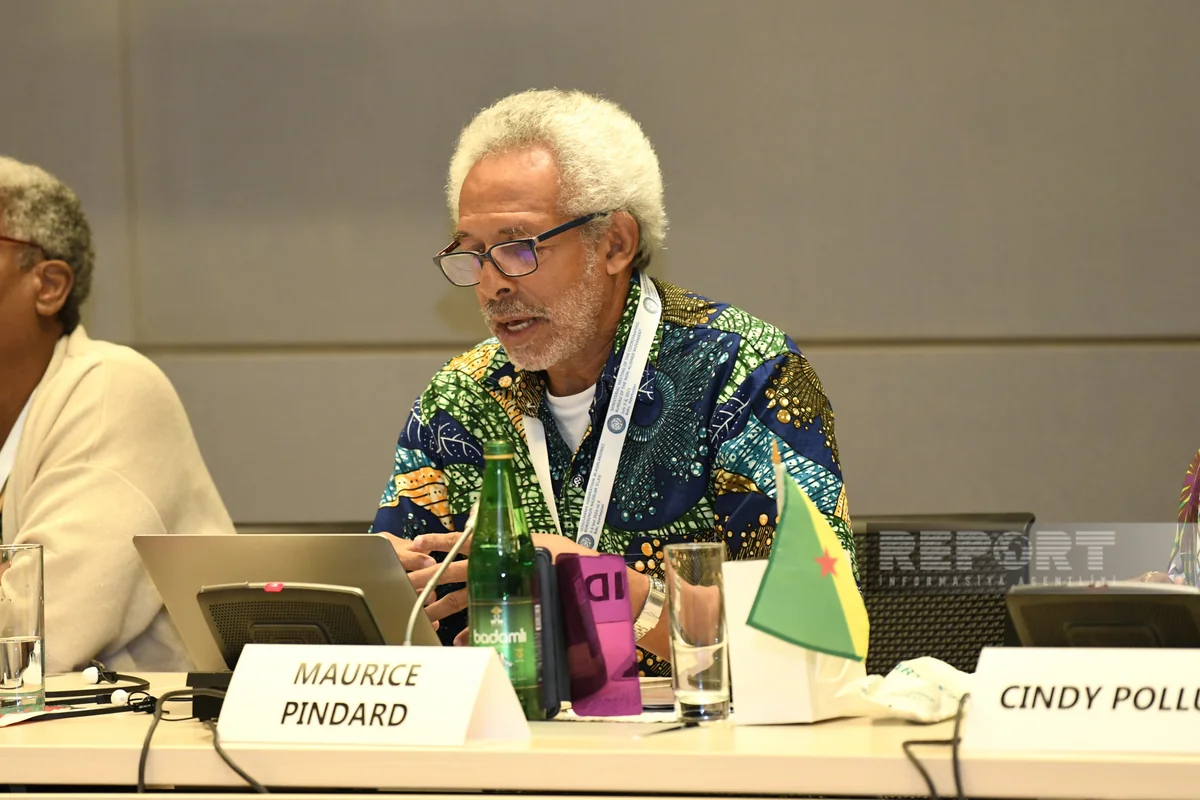 Representative of French Guiana: ‘France is looting our natural resources’ 