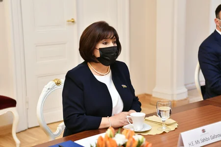 Sahibə Qafarova Riqada  Latviya Seyminin sədri ilə görüşüb