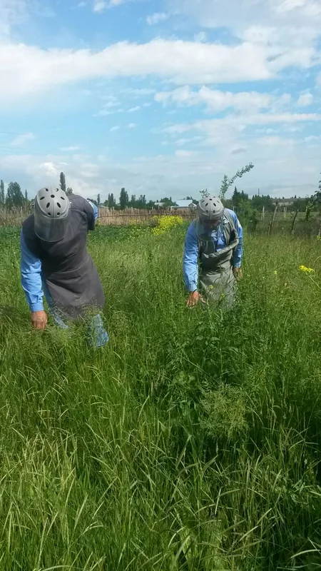 Tərtər icra nümayəndəliyinin həyətyanı sahəsində top mərmisi aşkar edilib