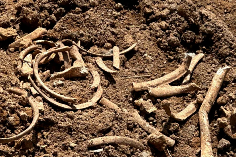 Human bone fragments found in liberated Malibeyli village
