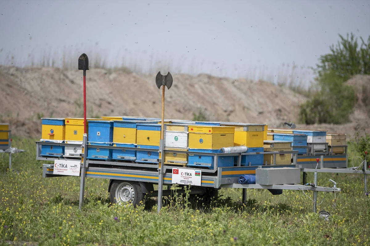 Arıçılıq təsərrüfatlarının Qubadlı yaylaqlarına köçünə start verilib