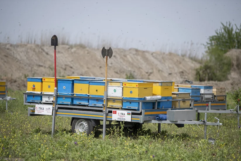 Arıçılıq təsərrüfatlarının Qubadlı yaylaqlarına köçünə start verilib