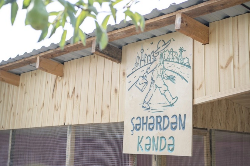 Azərbaycanlı fermerlər şəhərdən kəndə gələnlərdən necə pul qazana bilər?