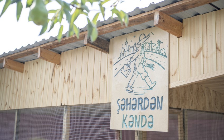 Azərbaycanlı fermerlər şəhərdən kəndə gələnlərdən necə pul qazana bilər?