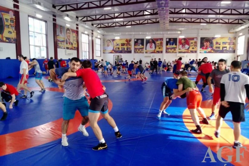 Sərbəst güləş üzrə Azərbaycan yığması növbəti təlim-məşq toplanışına başlayıb