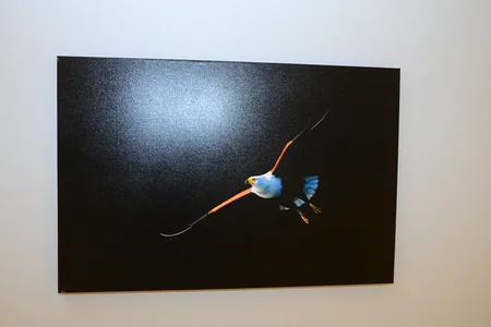 Heydar Aliyev Center launched solo exhibition of famous photographer