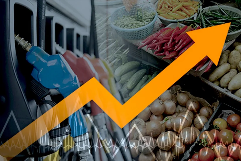 Инфляция в Австрии по итогам мая может достичь 47-летнего максимума